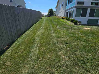 Lawn Care service in Monroe, 45044