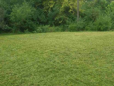 Lawn Care service in Monroe, 45044