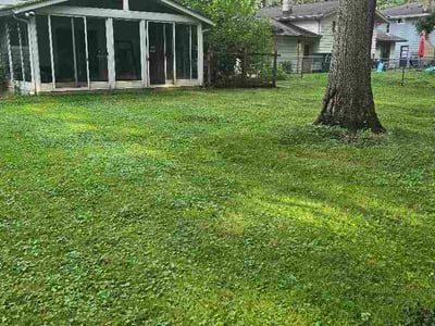 Lawn Care service in North Olmsted, 44070