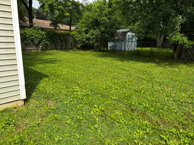 Lawn Care service in North Olmsted, 44070