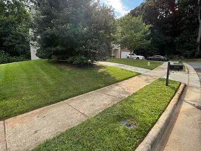 Lawn Care service in Randleman, 27317