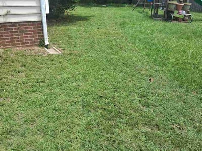 Lawn Care service in Fuquay Varina, 27526