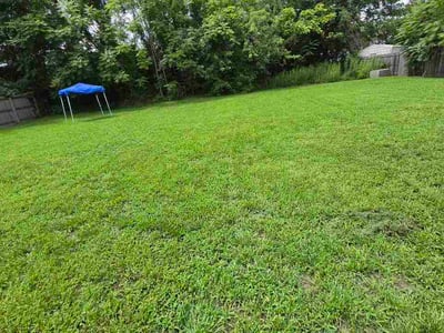 Lawn Care service in Trinity, 27370