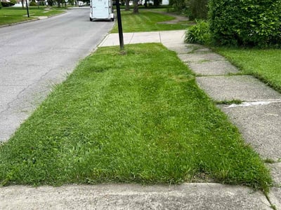 Lawn Care service in Orchard Park, 14127