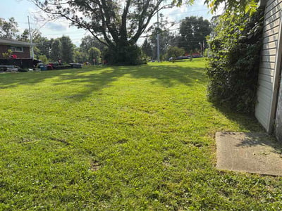Lawn Care service in Loveland, 45140