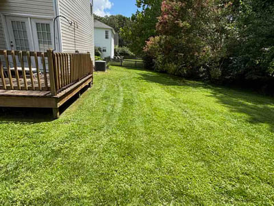 Lawn Care service in Trinity, 27370