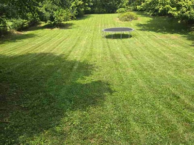 Lawn Care service in Loveland, 45140