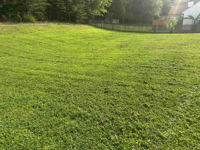 Lawn Care service in High Point, 27260
