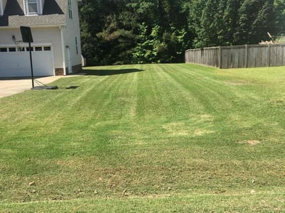 Lawn Care service in Nassau County, 11566