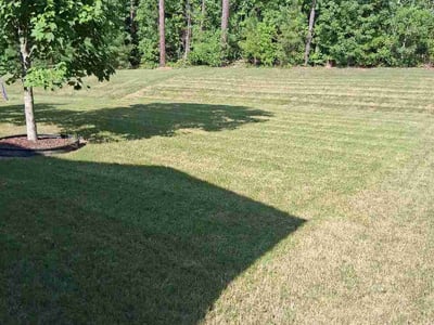 Lawn Care service in Franklinton, 27525