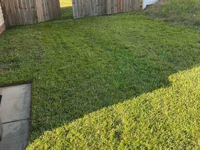 Lawn Care service in Franklinton, 27525