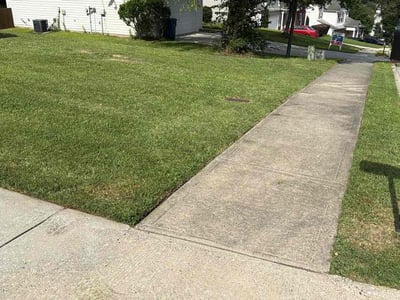 Lawn Care service in Avondale, 85323
