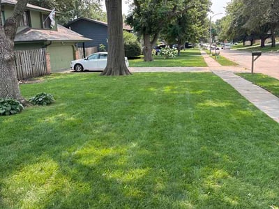 Lawn Care service in Omaha, 68102