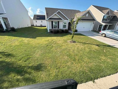 Lawn Care service in Zebulon, 27597