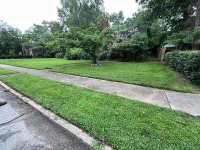 Lawn Care service in Salisbury, 28144