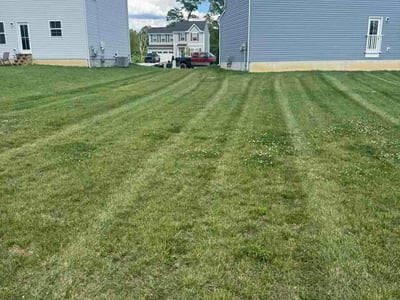 Lawn Care service in Amelia, 45102