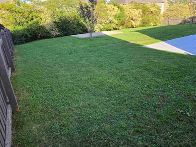 Lawn Care service in Indian Trail, 28079