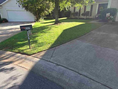 Lawn Care service in Cornelius, 28031