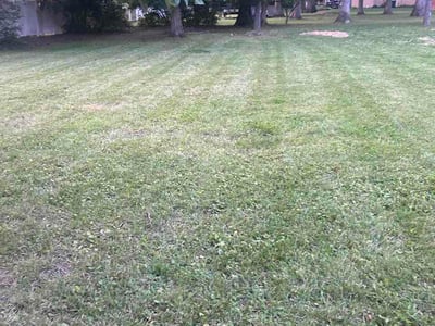 Lawn Care service in Miamisburg, 45342