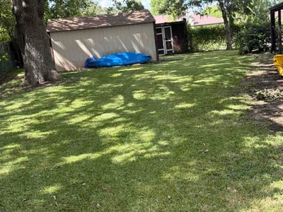 Lawn Care service in Greenville, 75401