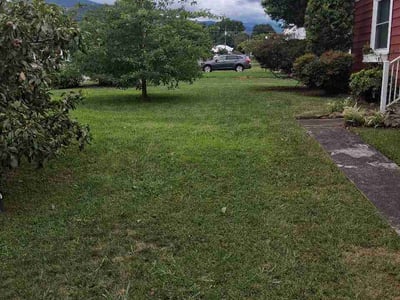 Lawn Care service in Waynesville, 28786