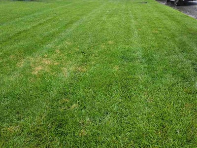 Lawn Care service in Cedar Lake, 46303