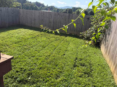 Lawn Care service in Waynesville, 28786