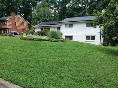 Lawn Care service in Waynesville, 28786