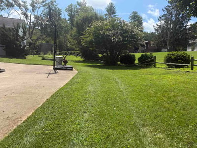 Lawn Care service in Hendersonville, 28792