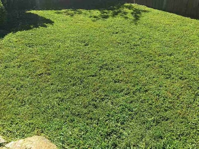 Lawn Care service in Clinton, 06413
