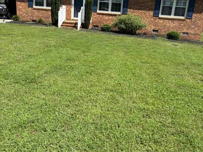 Lawn Care service in Goldsboro, 27530