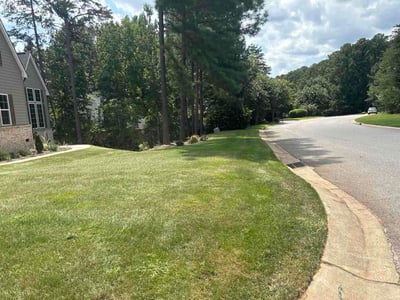 Lawn Care service in Denver, 28037