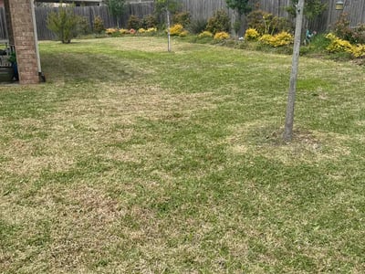 Lawn Care service in Clinton, 06413