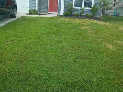 Lawn Care service in Easley, 29640