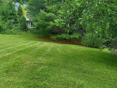 Lawn Care service in Asheville, 28801