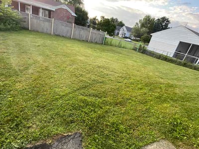 Lawn Care service in Schenectady, 12305