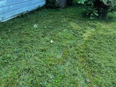 Lawn Care service in Asheville, 28801