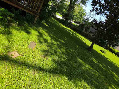 Lawn Care service in Jennings, 63136