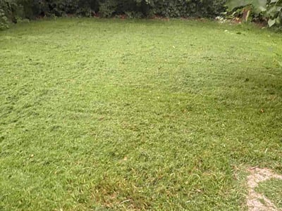 Lawn Care service in Jennings, 63136