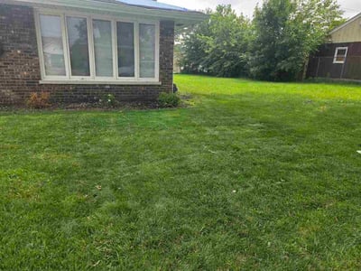 Lawn Care service in Calumet City, 60409