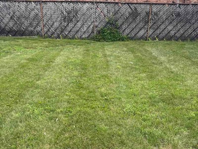 Lawn Care service in Calumet City, 60409