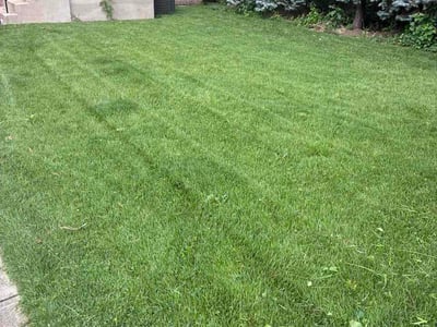 Lawn Care service in Calumet City, 60409