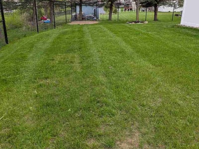 Lawn Care service in Irondeqoit, 14622