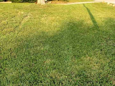 Lawn Care service in Belton, 64012