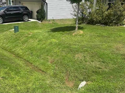 Lawn Care service in Garner, 27529
