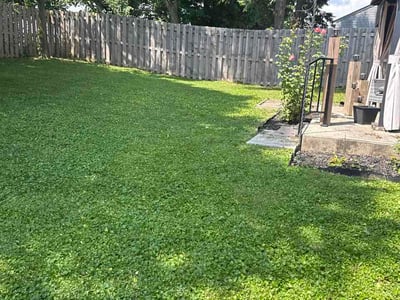 Lawn Care service in Burlington, 41005