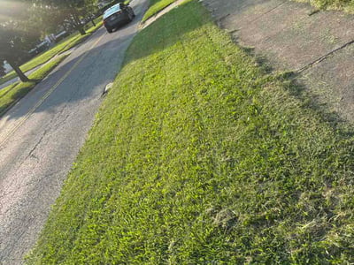 Lawn Care service in Mentor, 44060