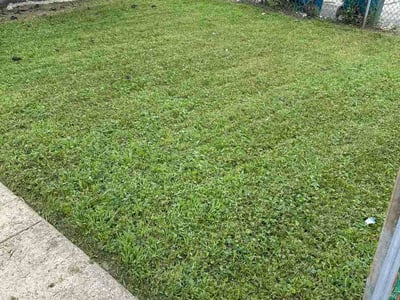Lawn Care service in Elk Grove Village, 60007