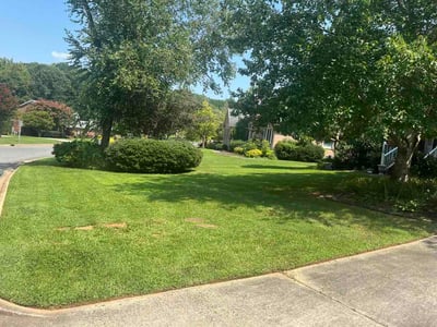 Lawn Care service in Gastonia, 28052