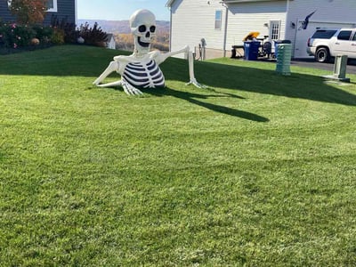 Lawn Care service in Camillus, 13031